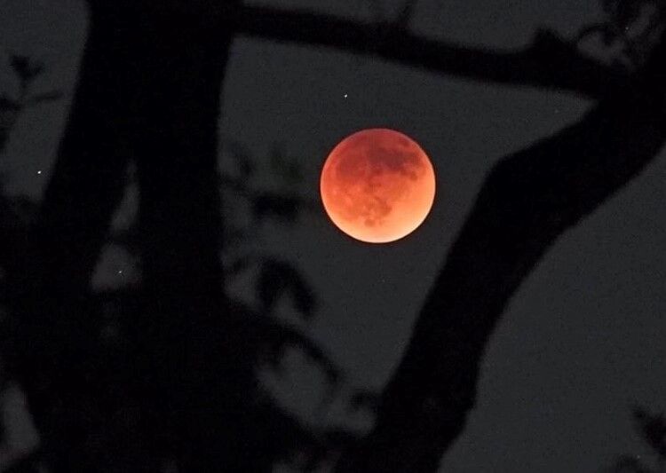 Nikki Hatle photo sub, blood moon